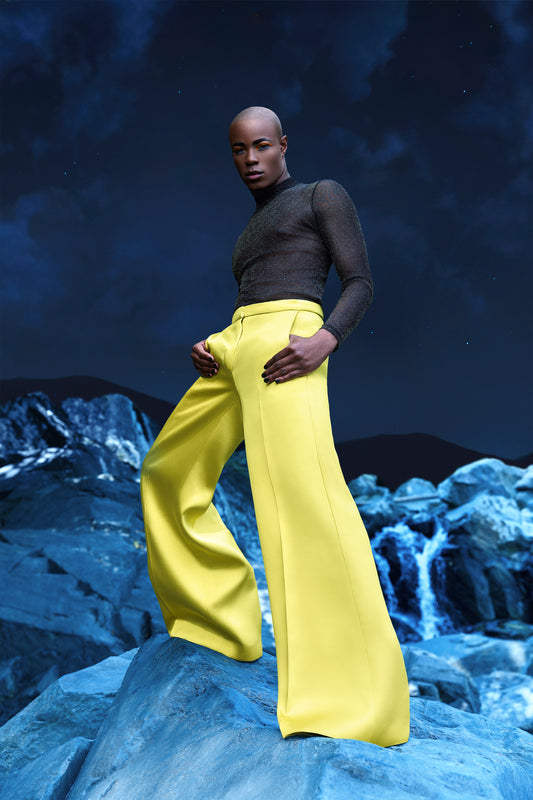 DIMINISHED PANTS